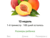 13 недель .