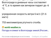 Уличные коты