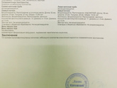 Подсадка и эндометрий
