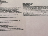Вторая беременность в цикле котором узист сказал нет овуляции