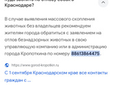 Ну и звиздец..