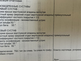 УЗИ тбс в месяц