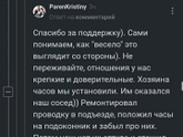 Во всем виноват кот.