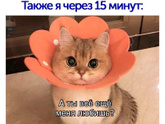 Фотография 2021-02-11 01:23:46