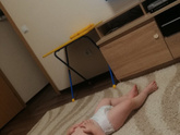 Неделя в саду.