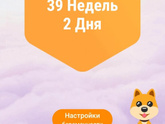 На финишной прямой!