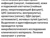 acinetobacter lwoffii Новая для Анфисы бактерия