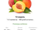 13 недель .