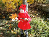 Золотая осень, тёплые денёчки🍁🍂☀️