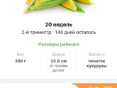 ♥️20 неделек! Для себя
