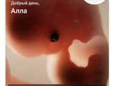 8 недель ?