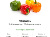 18 недель .