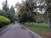 Золотая осень