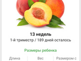 13 недель. 🍑🍑🍑