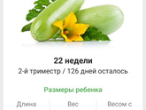 22 недели.