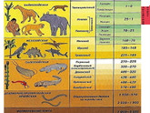 Хронологическая таблица по эрам животные - динозавры когда жили?