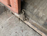 Лягушечка 🐸