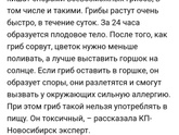 Девачкиииии! Грибы