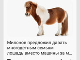 Лошадь вместо машины?!