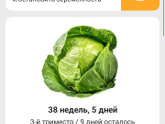 38 недель и 5