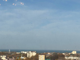 Квартира. Старый дом/новый/площадь