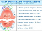 Зубы.