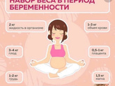 Сколько весит живот?