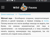 Кто этот красавец??