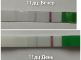 Всем привет.