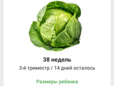 Всем доброе утро☕🌹 Вот