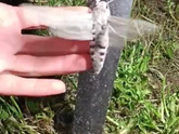 Сегодня один из самых