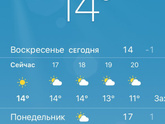 Плюшевый медведь.