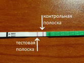 Как пользоваться тестами на о