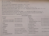 Девочки мой первый скринг