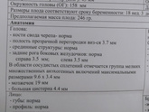 Кисты сосудистых сплетений