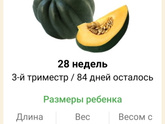 28 недель