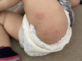 Вчера вечером увидела у