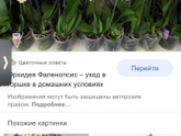 Подарили такую орхидею, состояние