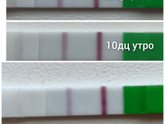 Видимо овуляция уже была.