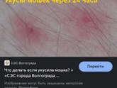 Укусы