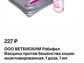 Рвота у кота