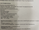 УЗИ