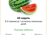 ПДР 8 июня