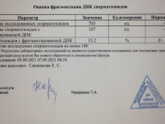 Фрагментация днк