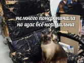 Как настроение?