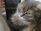 Питомцы 🐈🐕🐇🦜🐠🐢🐁