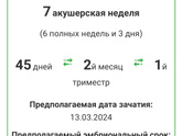 Срок