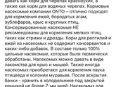 Стриж день 2.