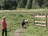 Планы, планы, планы…