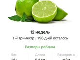12 недель .